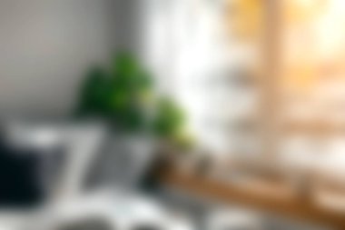 Parlak ve davetkar oturma odasında yemyeşil bitkiler, rahat koltuklar ve yumuşak doğal ışık var. Rahatlamak ve ısınmak için mükemmel bir yer..