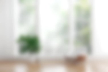 Geniş pencerelerden süzülen parlak ve havadar bir iç mekan, sakin ve huzurlu bir atmosfer için basit dekorasyon ve yemyeşil alanları aydınlatıyor..