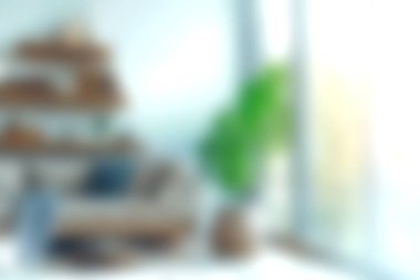 Modern mobilyaların, kapalı bir bitkinin ve doğal ışıkla mekanı aydınlatan büyük bir pencerenin olduğu rahat bir oturma odası..