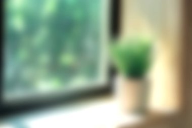 Pencere pervazındaki bir bitkinin yumuşak odaklı görüntüsü, dışarıda doğal ışık ve yeşillik sergiliyor, rahatlatıcı ve davetkar bir iç atmosfer yaratıyor..