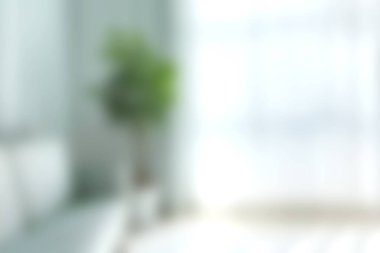 İç mekan bitkisinin bulunduğu sakin bir oturma odası, doğal ışıkla dolmuş. Parlak ve havadar ortam rahatlama ve sükuneti teşvik ediyor, modern evler için mükemmel..