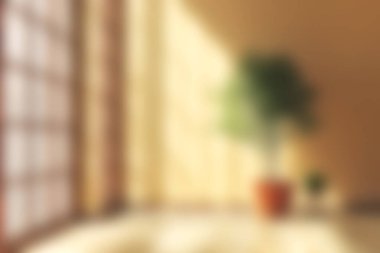 Odayı sıcak güneş ışığıyla dolduran büyük pencerelerin yer aldığı sakin bir iç mekan, yeşil bir bitki doğaya dokunarak taze ve davetkar bir atmosfer yaratıyor..