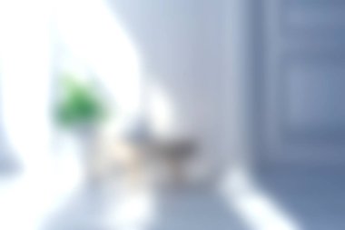 Yumuşak doğal ışık ve minimalist mobilyaların sergilendiği sakin ve parlak bir iç mekan. Modern dekor ya da huzurlu yaşam ortamları için ideal.