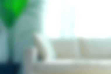 Doğal ışıkla aydınlatılan yumuşak bir kanepenin serinletici bir ortam için dekoratif bir bitki tarafından tamamlandığı parlak ve rahat bir oturma odası..