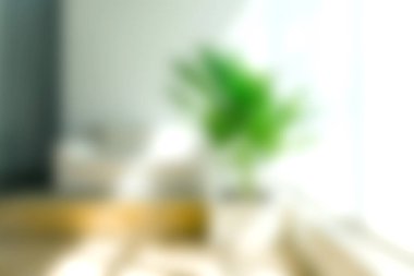 Yumuşak doğal ışıkla yıkanmış yemyeşil bir bitkinin yer aldığı parlak bir kapalı alan. Bu dingin ortam rahatlamaya ve huzura davet ediyor, sağlığa mükemmel geliyor..