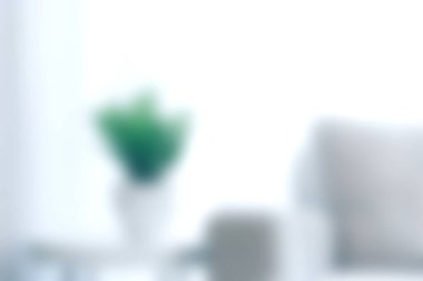 Bu parlak ve havadar oturma odası, modern ev dekorunda rahatlık ve sükuneti vurgulayan, kapalı bir bitki içeren minimalist bir tasarıma sahip..