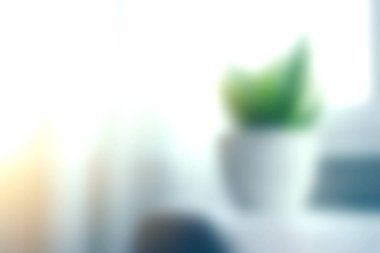 Parlak ve havadar bir ev ortamında, sükuneti ve modern dekor tarzını vurgulayan minimalist bir bitkiyi gösteren yumuşak odaklı bir resim..