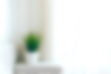 Parlak ve havadar bir odada pencerenin yanında yeşil bir bitki bulunur ve doğal ışıkla dolu huzurlu ve huzurlu bir atmosfer yaratır..