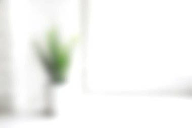 Açık beyaz arkaplan üzerinde minimalist bir bitki barındıran yumuşak odaklı bir resim, ev dekorasyon ayarlarında basitlik ve zarafeti vurguluyor.