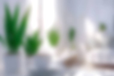 Bu kapalı alan canlı yeşil bitkilerle dolu havadar bir atmosfer sergiliyor. Minimalist dekor rahatlama ve yaratıcılık için mükemmel bir sükunet ortamı sağlar..