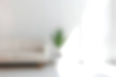 Parlak ve sakin oturma odasında minimalist tasarım sergileniyor, doğal ışık ve ferahlatıcı bir dokunuş için kapalı bir bitki var. Modern yaşam için mükemmel..