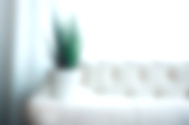 Hafif bulanık bir oturma odası görüntüsü, tencerede yeşil bir bitki, minimalist dekor ve rahatlığı vurguluyor, sakin bir atmosfer yaratıyor..