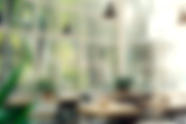 Bu rahat kafenin içinde yumuşak ışıklandırma, zarif dekor ve bol yeşillik var..