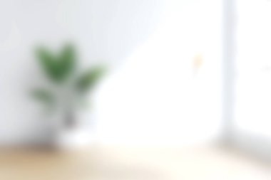 Işıl ışıl ve minimalist bir iç mekan, yemyeşil bir bitki barındırıyor, dingin bir atmosfer yaratıyor. Modern yaşam alanları ve sükuneti resmetmek için ideal.