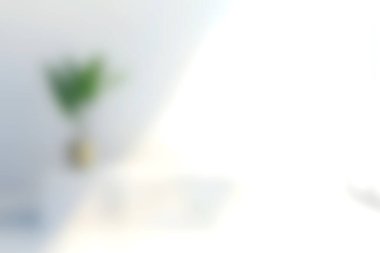 Doğaya ve tazeliğe bir dokunuş katan, dekor ve yaşam tarzı ilhamı için ideal yeşil bir bitki barındıran modern, parlak bir alan..