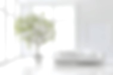 Yeşil bir bitki, doğal ışık ve yumuşak mobilyaların bulunduğu parlak ve minimalist bir oturma odası. Bu dingin alan huzur ve konforu, modern dekorasyonu geliştirmeye davet ediyor..