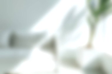 Parlak ve havadar minimalist oturma odası bol güneş ışığı ve yeşil bitki aksanıyla modern dekor sergiliyor. Rahatlamak ve rahatlamak için mükemmel..