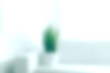 Parlak minimalist bir oturma odasında kapalı alan bitkisini gösteren yumuşak odaklı bir görüntü. Sakin atmosfer sükuneti ve tazeliği teşvik eder. Dekor için ideal..