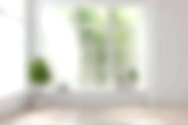 Geniş pencereleri ve yemyeşil bitkileri olan sakin bir kapalı alan, rahatlama ve modern yaşam için mükemmel bir atmosfer sağlıyor..