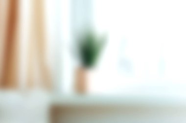 Bulanık bir saksı bitkisinin ve pencereden gelen yumuşak doğal ışığın yer aldığı sakin bir iç mekan, ev dekorasyonu için mükemmel bir ortam yaratıyor..