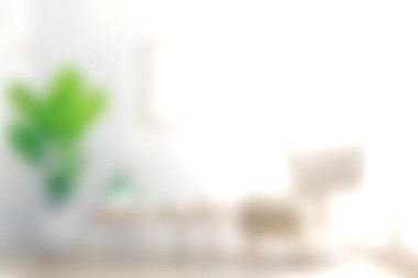 Minimalist mobilyaların yanında yemyeşil bir bitki barındıran parlak ve davetkar bir iç mekan, dinlenmek için mükemmel ve rahat bir atmosfer yaratıyor..