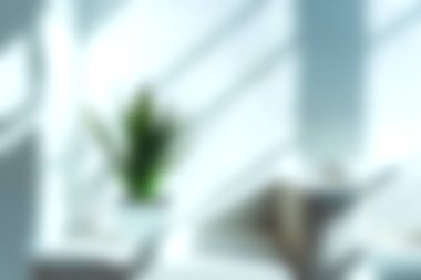 Kapalı alanda doğal ışık, minimalist dekor ve canlı yeşil bir bitki sergilenen sakin ve şık bir atmosfer yaratıyor. Rahatlama ve ilham için mükemmel..