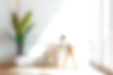 Yumuşak bir ışık ve yeni bir bitkinin yer aldığı huzurlu bir iç mekan, rahatlık ve stil hissi uyandırıyor. Minimalist ve modern dekor temaları için mükemmel.