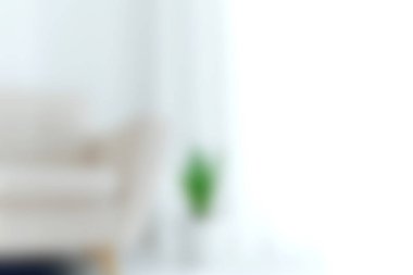 Rahat bir kanepe ve yeşil bir bitkinin olduğu parlak ve havadar bir oturma odası. Bu modern iç mekan zarif dekoruyla rahatlama ve sükuneti teşvik ediyor..