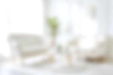 Yumuşak mobilyaların olduğu sakin bir oturma odası ve güzel doğal ışıkla yıkanmış, bereketli bir iç mekan bitkisi. Sıcak ve davetkar bir ortam yaratmak için ideal..