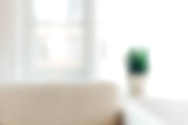 Parlak ve rahat bir modern yaşam alanı. İçinde yeşil bir bitki, yumuşak mobilyalar ve pencereden akan bol miktarda doğal ışık var. Huzurlu bir ortam yaratıyor..