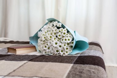 Çiçekli romantik kompozisyon ve rahat ev atmosferi için kitap. Yumuşak ekose bir battaniyenin üzerinde taze beyaz papatyalar. Romantizm, ev konforu, rahatlama, yaşam tarzı ve çiçek dekorları için mükemmel..