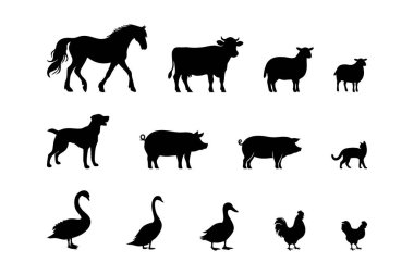 Çiftlik hayvanı silueti vektörü ayarlandı. At, inek, domuz, koyun, köpek, kedi ve kümes hayvanları. Sıradan çiftlik hayvanlarının olduğu temiz ve basit bir siyah siluet seti. Tarım, eğitim ve ürün etiketi tasarımları için mükemmel.