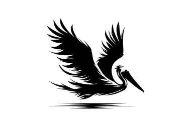 Havalı Uçan Pelikan Vektörü