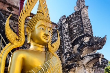 Tayland 'daki Buda Heykelleri, Resimler ve Tapınaklar. Tayland Budist Sanat ve Heykeller Koleksiyonu. Yüce Tanrım. Meditasyon ve Maneviyat için Buda Resimleri
