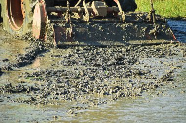 Traktör tarlayı sürüyor.