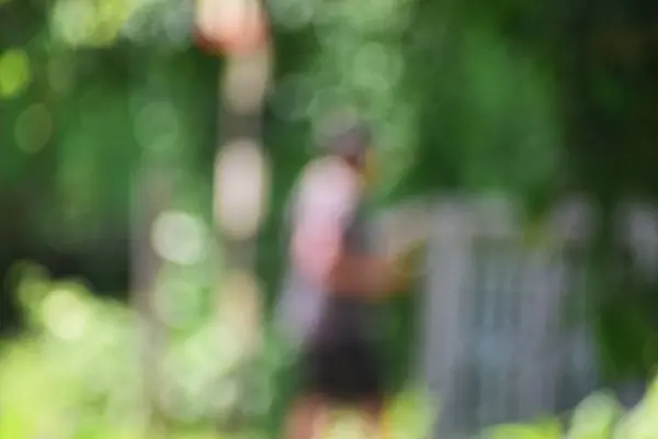 Bulanık yaz arkaplanı, bulanık park