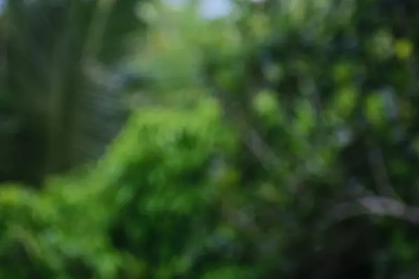 soyut bulanık doğa ve bulanık arkaplan