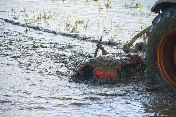 Traktör tarlayı sürüyor.