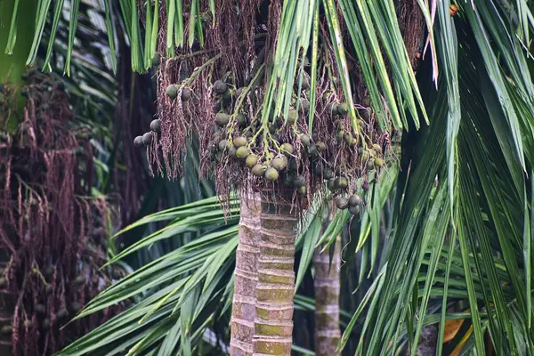 Su damlalarını kabloyla kapatın.