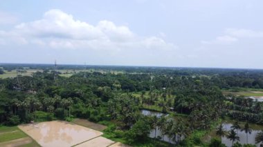 Hindistan köyünün hava manzarası, palmiye ağaçları ve güzel gökyüzü..