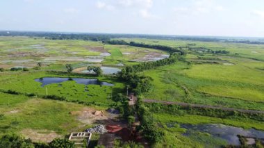 pirinç tarlaları, kırsal, hava manzarası.