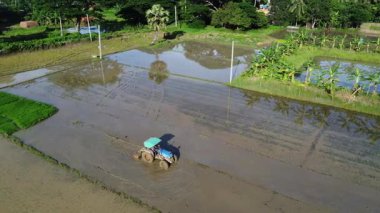 Hindistan 'da pirinç tarlası olan çeltik tarlası. İzleme kulesi tarlası.