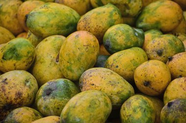 Yakın - olgun mango meyveleri sepette.