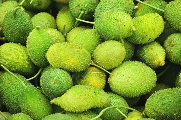 Momordica Dioica pazarda sebze