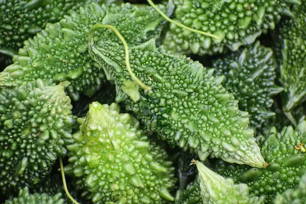 Markette yeşil bir kabak.