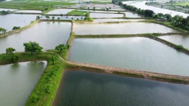 Hindistan 'da Su Yansımalı Balık Çiftliği Göleti.