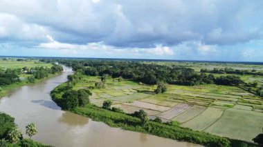 Hindistan 'da pirinç tarlası, nehir ve orman yakınlarındaki kırsal alan..