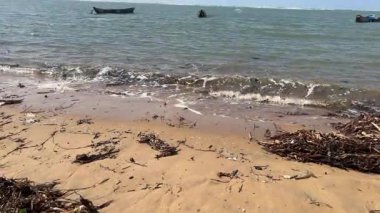 Küçük balıkçı tekneleri sahilde. Ada manzaralı.