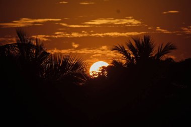 Hindistan 'da günbatımı arkaplan görüntüsü.