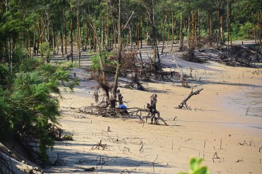 Hindistan 'daki sahil erozyonu..